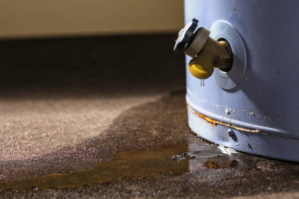 Best 24-hour water damage restoration  in Rising Sun, MD