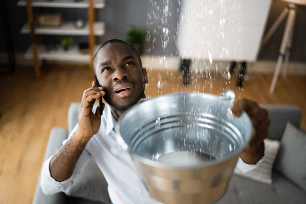 Professional Water damage restoration in Rising Sun, MD
