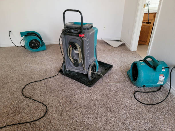Best Residential water damage restoration  in Rising Sun, MD