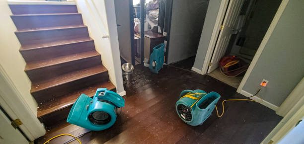 Best Water damage cleanup near me  in Rising Sun, MD