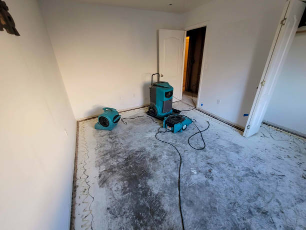 Best 24/7 water damage repair  in Rising Sun, MD