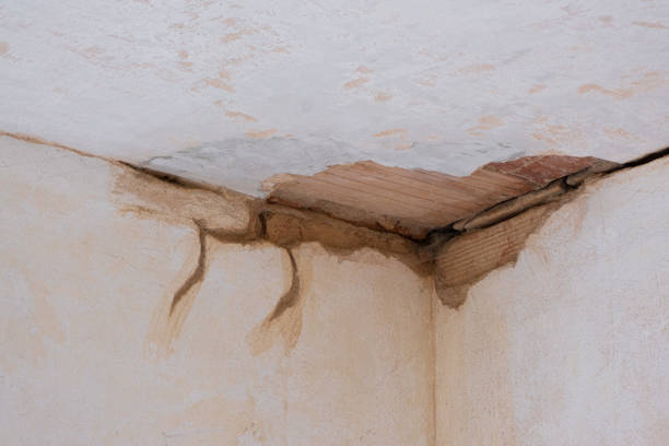 Best Sewage cleanup and water damage restoration  in Rising Sun, MD