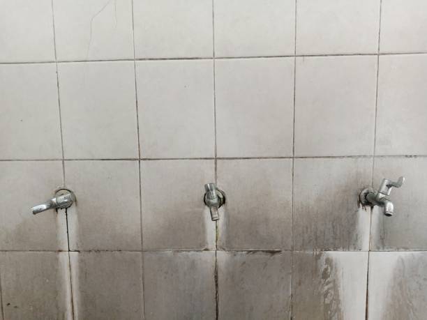 Best Water damage restoration mold remediation  in Rising Sun, MD