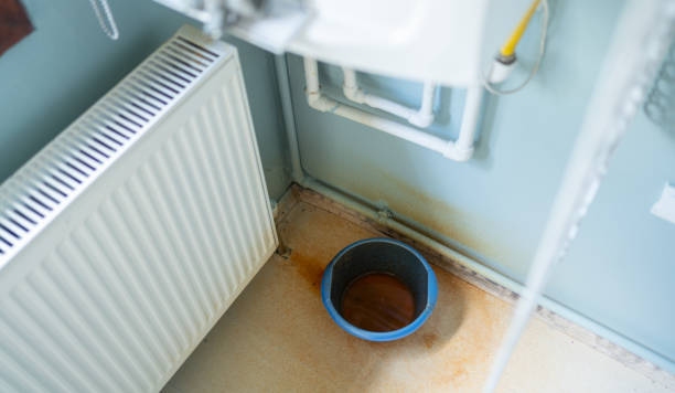 Water damage restoration mold remediation in Rising Sun, MD