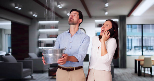 Best Water damage restoration near me  in Rising Sun, MD