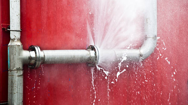 Best Flood damage cleanup  in Rising Sun, MD